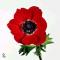 afbeelding van Fleurie afbeelding van Fleurie